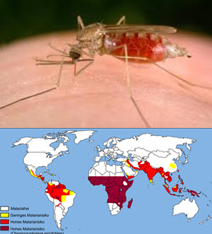 malaria