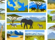 Reseguide till Afrikas bästa nationalparker